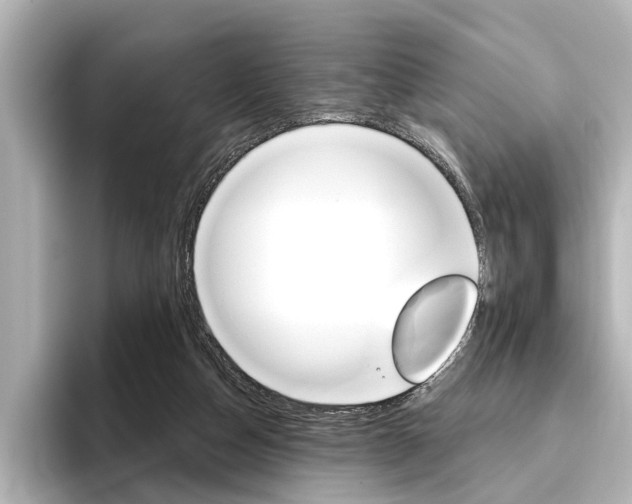 X0000096430162200801241030