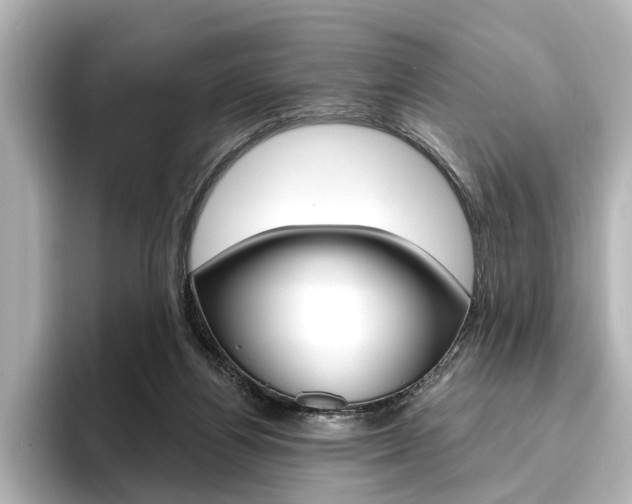 X0000096430164200801241031