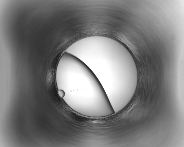 X0000096430165200801241031
