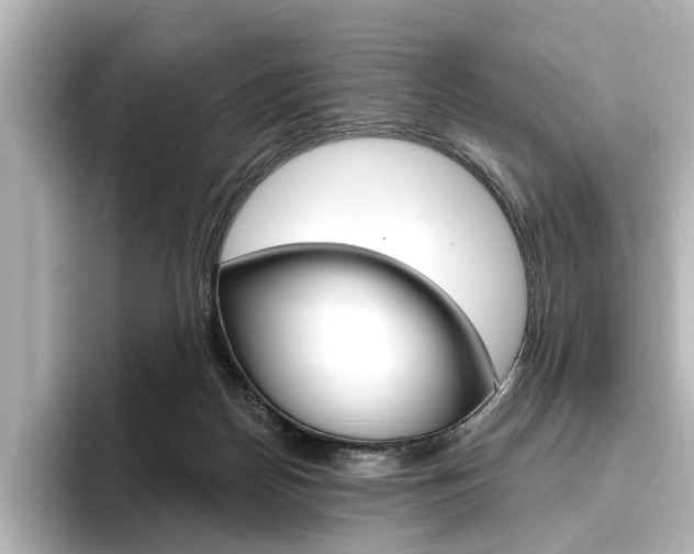 X0000096430170200801241031