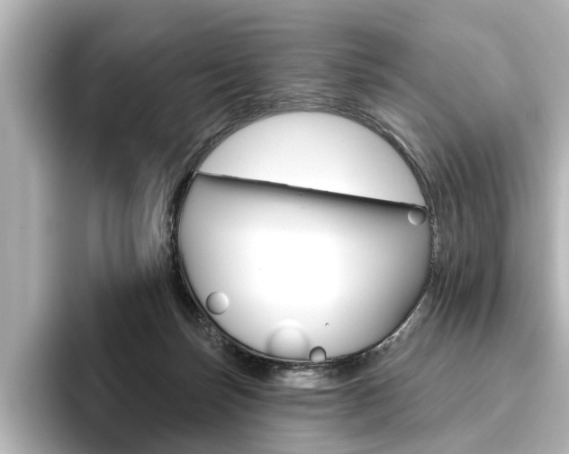 X0000096430171200801241031