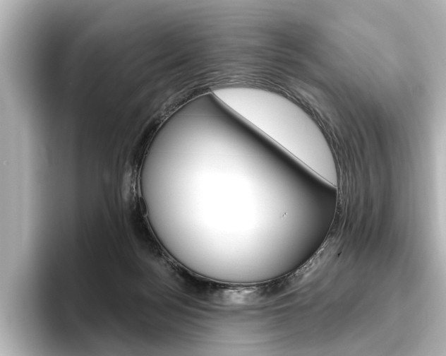 X0000096430172200801241031