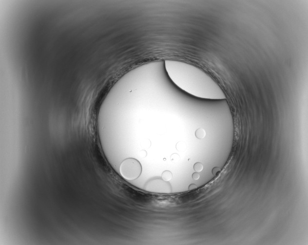 X0000096430175200801241031