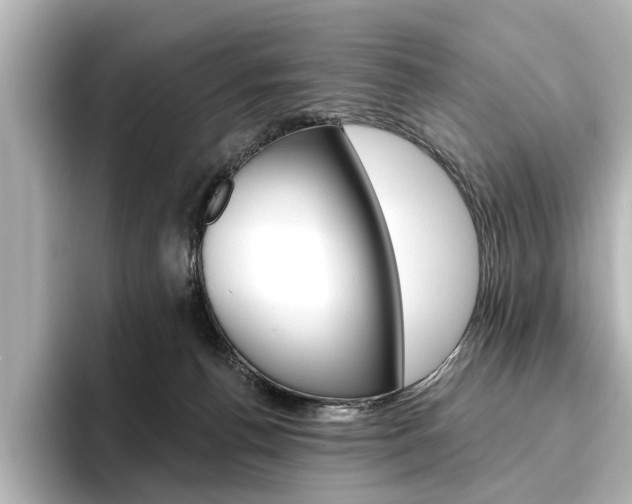 X0000096430176200801241031