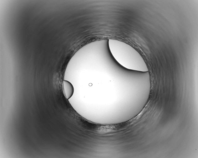 X0000096430179200801241031