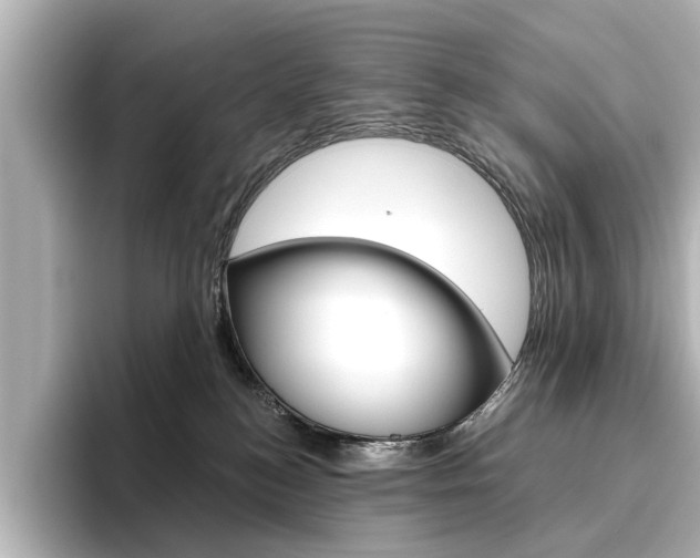 X0000096430184200801241031