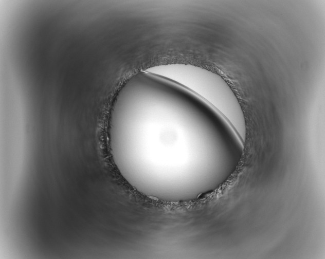 X0000096430192200801241031