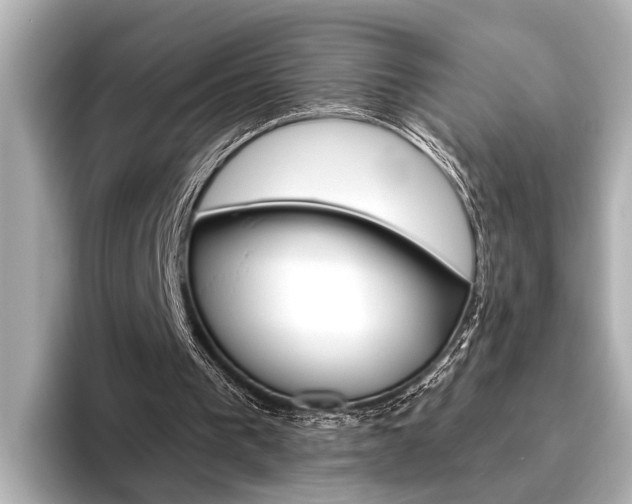 X0000096430193200801241030
