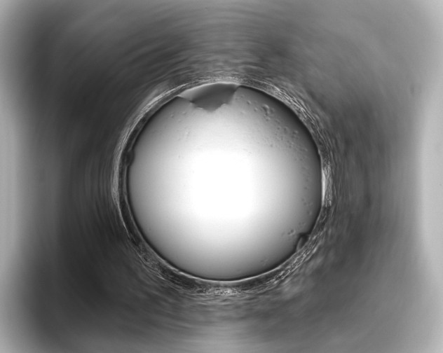 X0000096430195200801241030