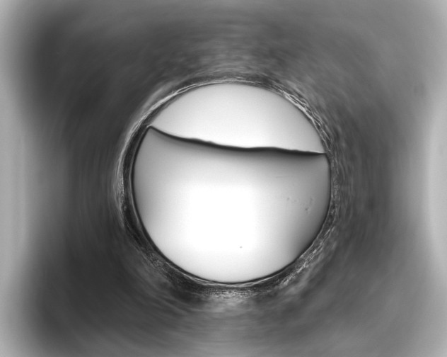 X0000096430198200801241030