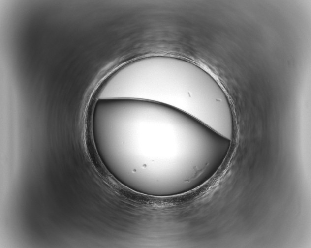 X0000096430199200801241030