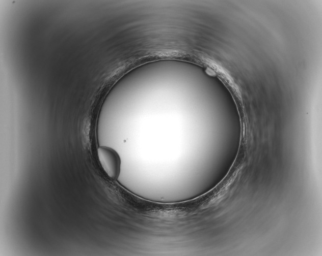 X0000096430201200801241030