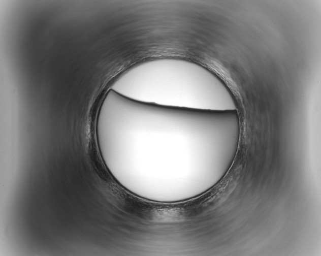 X0000096430202200801241030