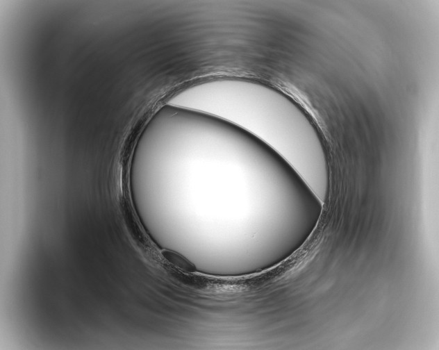 X0000096430205200801241030