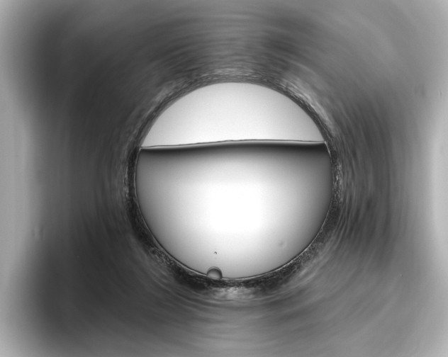 X0000096430212200801241030