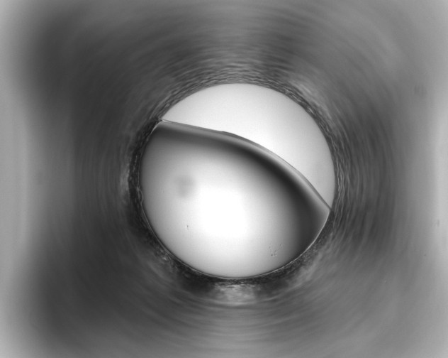 X0000096430221200801241030