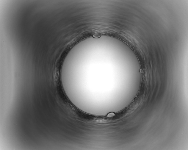 X0000096430228200801241030