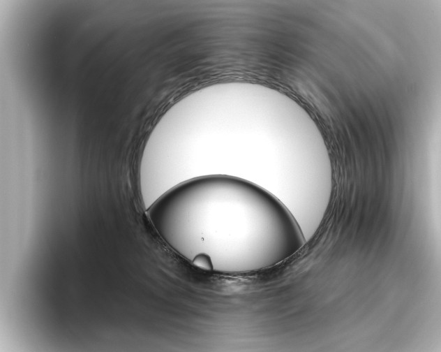 X0000096430229200801241030