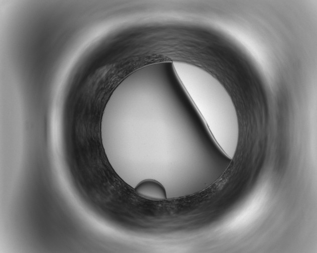X0000096430239200801241030