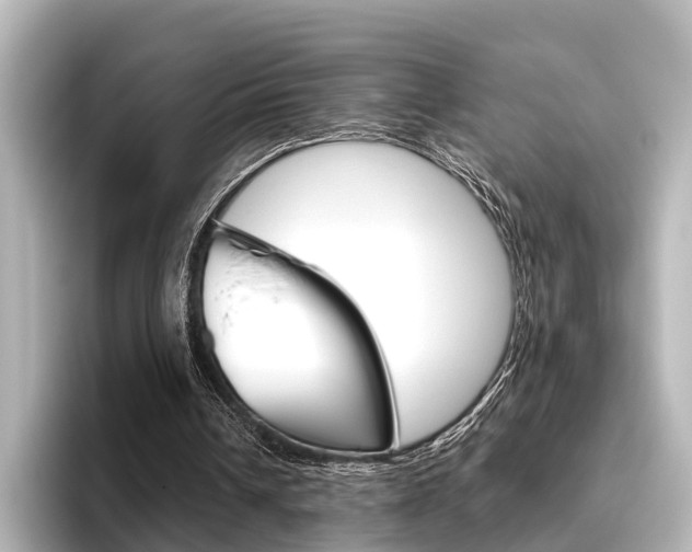 X0000096430242200801241029