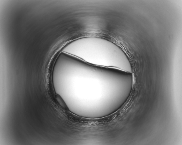 X0000096430243200801241029