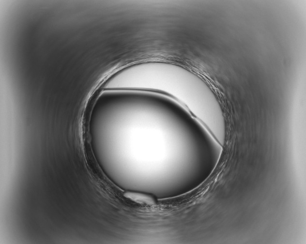 X0000096430244200801241029