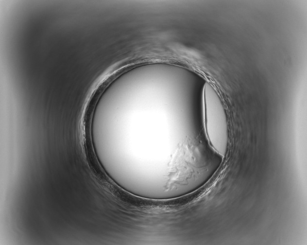 X0000096430246200801241029