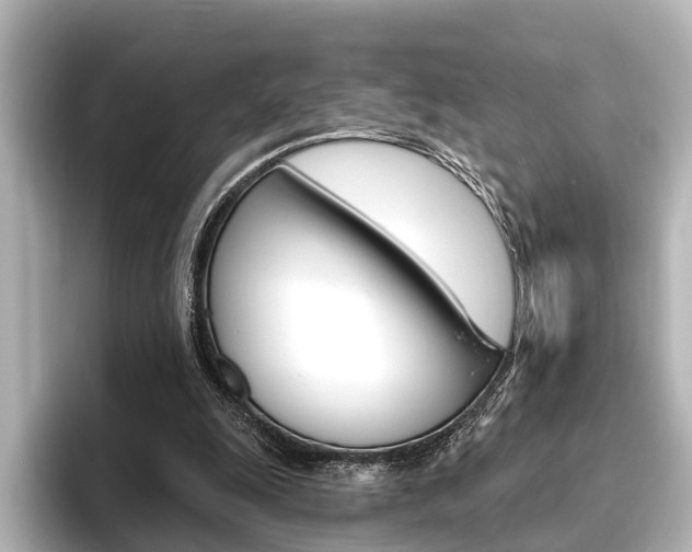 X0000096430247200801241029