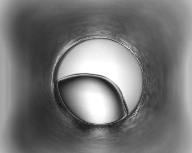 X0000096430248200801241029