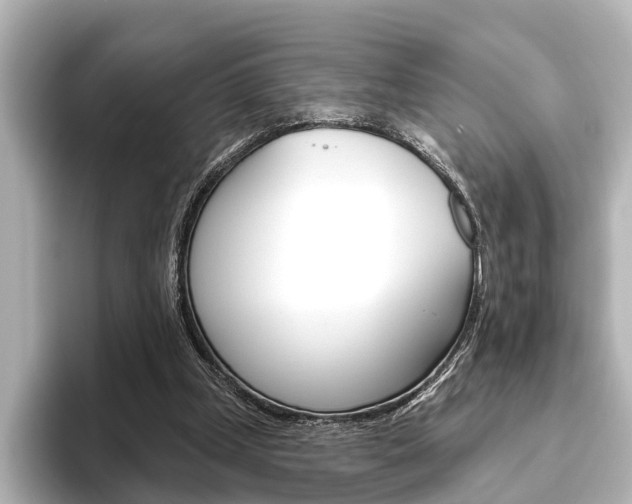 X0000096430249200801241029