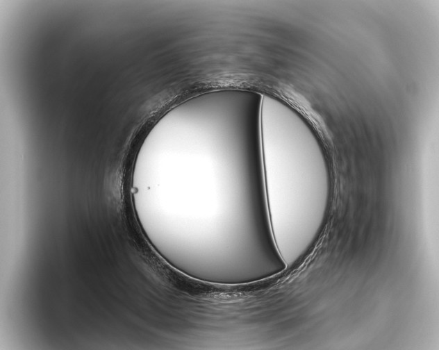 X0000096430250200801241029