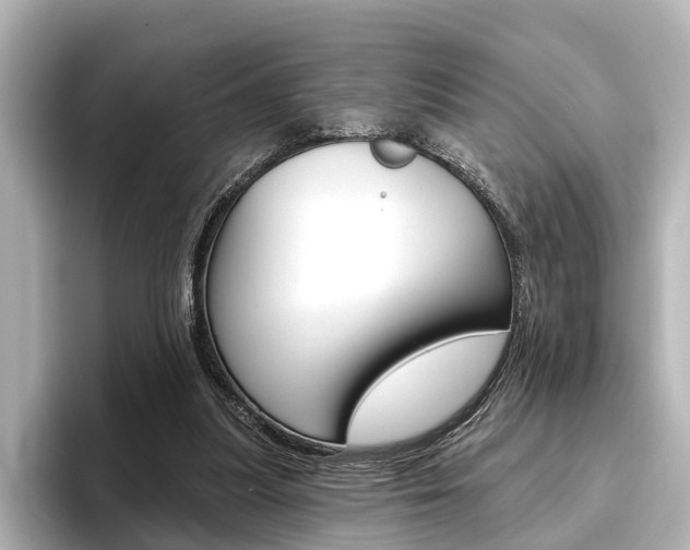 X0000096430251200801241029
