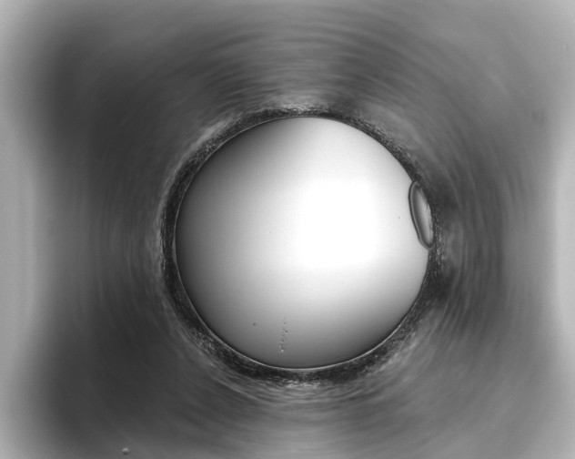X0000096430256200801241029