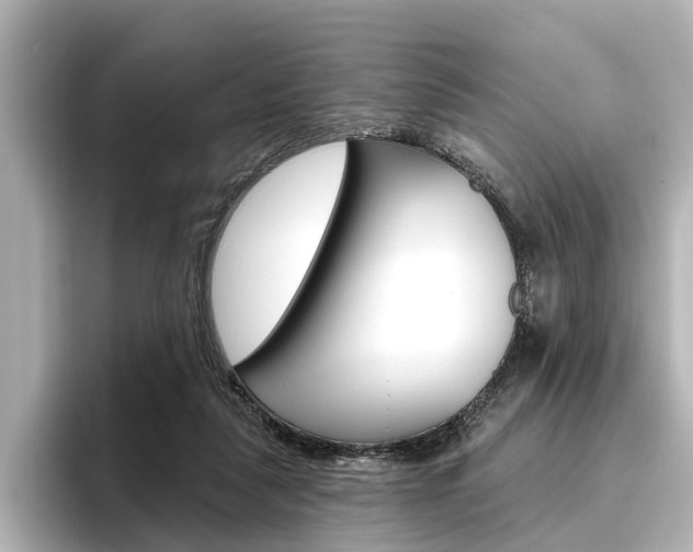 X0000096430259200801241029
