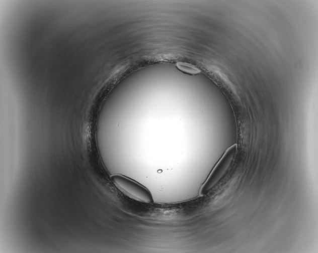 X0000096430260200801241029