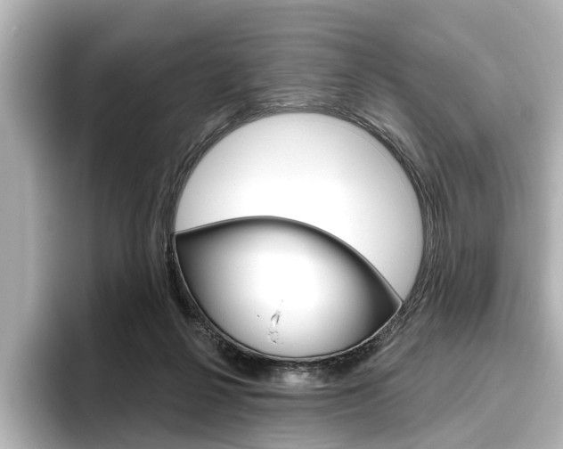 X0000096430264200801241029
