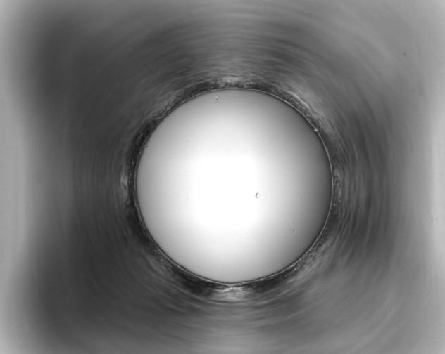 X0000096430269200801241029