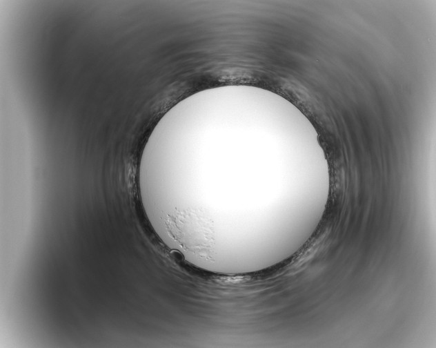 X0000096430281200801241030