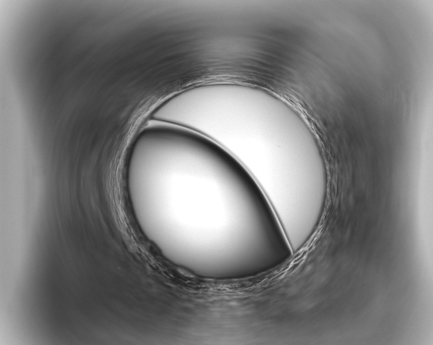 X0000096430289200801241029