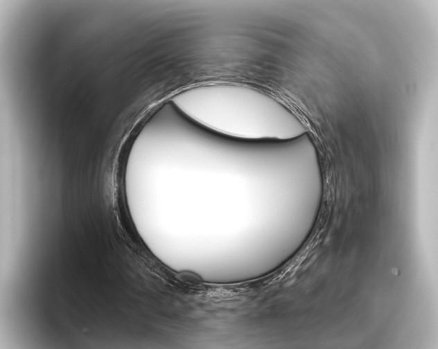 X0000096430290200801241029