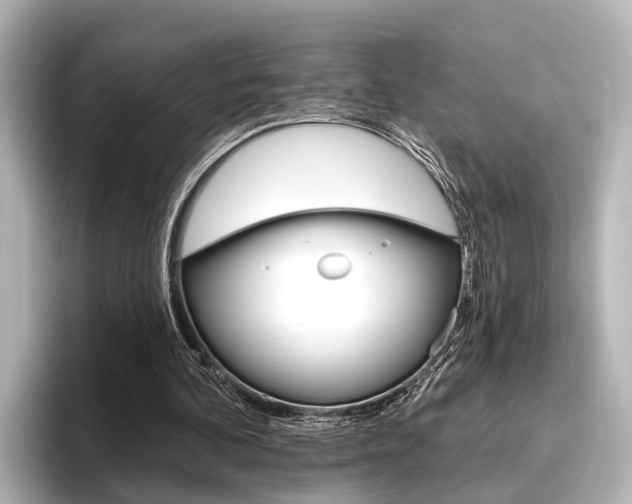 X0000096430292200801241029