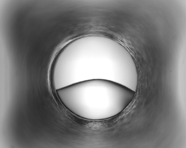 X0000096430294200801241029