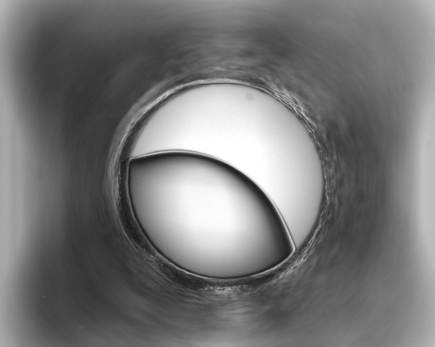 X0000096430295200801241029