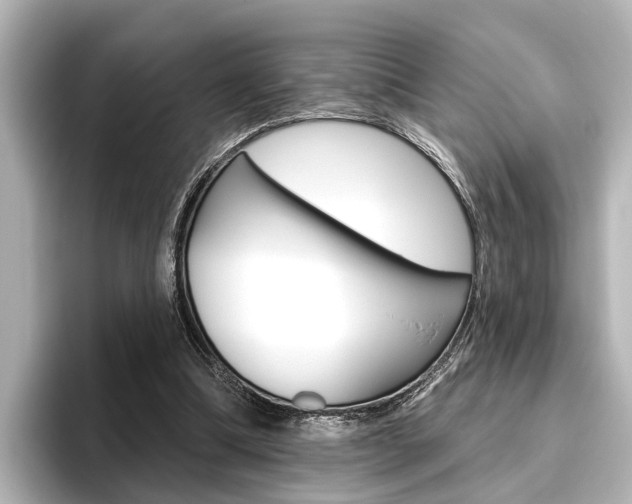 X0000096430298200801241029
