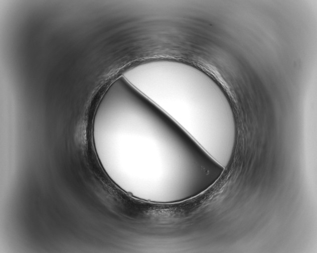 X0000096430299200801241029