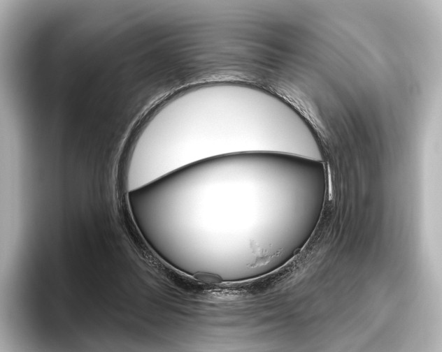 X0000096430300200801241029