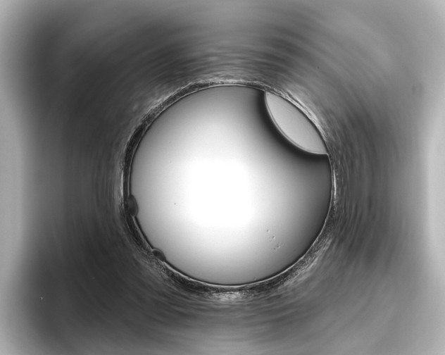 X0000096430301200801241029