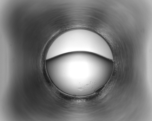 X0000096430304200801241029