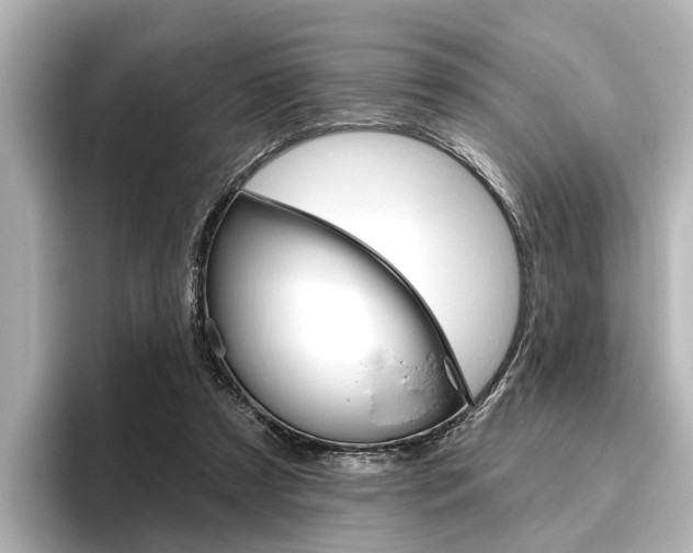 X0000096430305200801241029