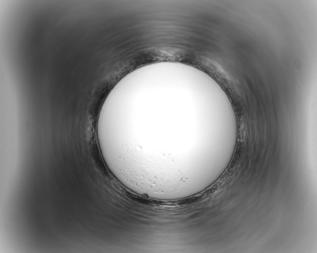 X0000096430318200801241029